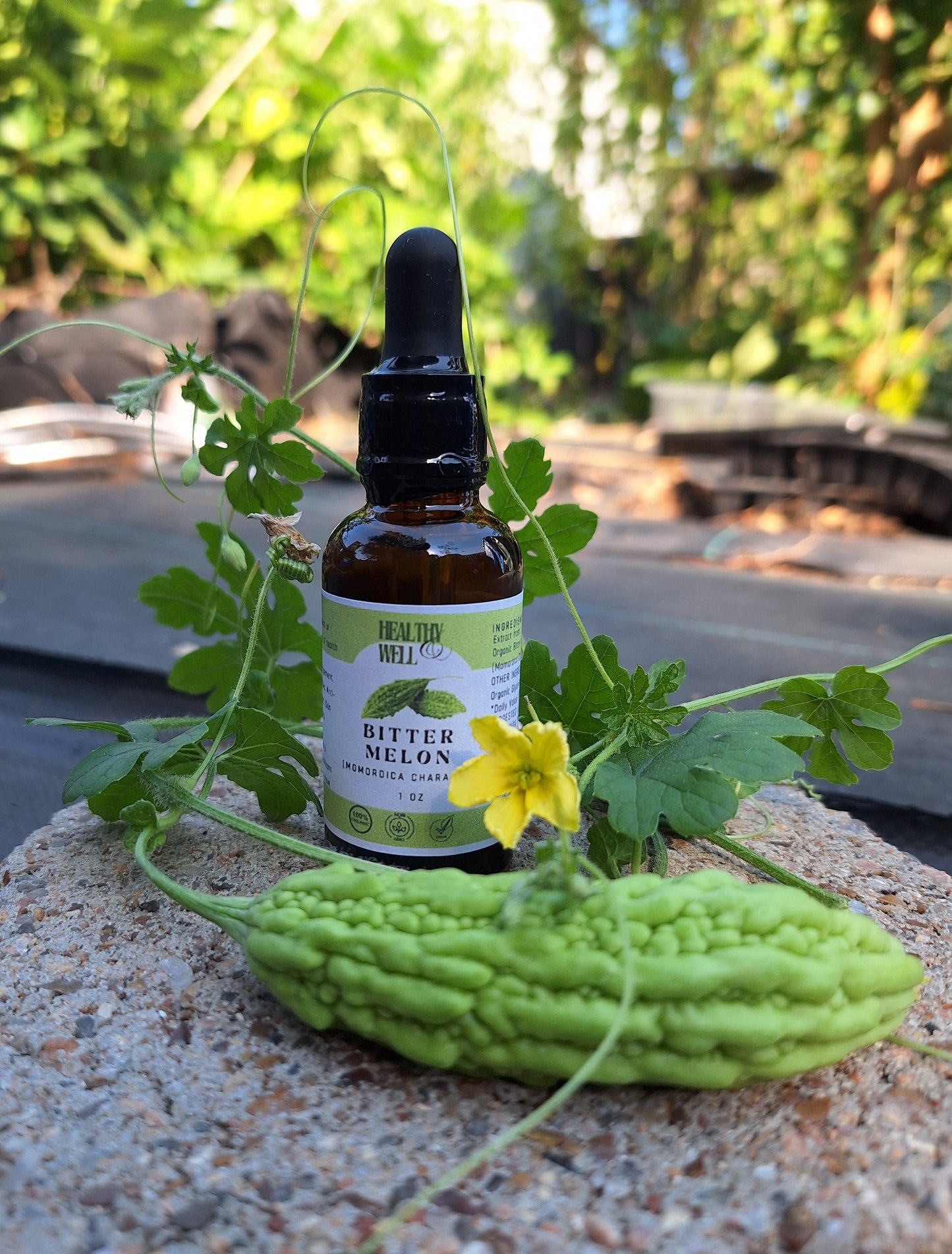 Healthy & Well Bitter Melon Alcohol Free Tincture Organic Non-GMO USA Size 1 oz